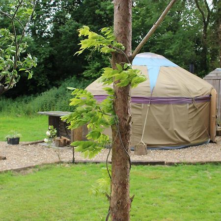 The Yurt At Worcesters Farm カンタベリー エクステリア 写真